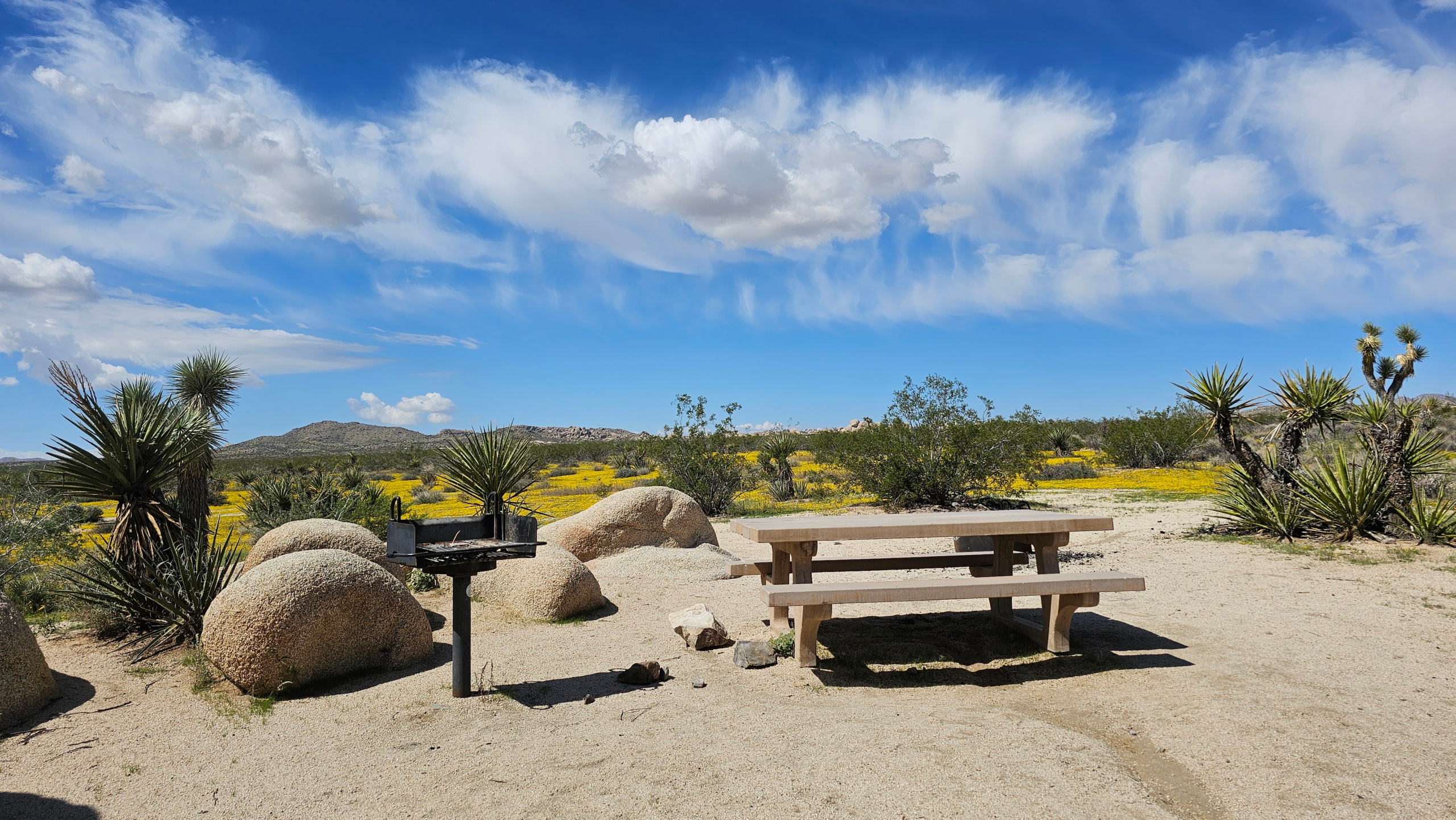 Beginner’s Guide to Camping in Joshua Tree National Park – Campground info, tips, and more.
