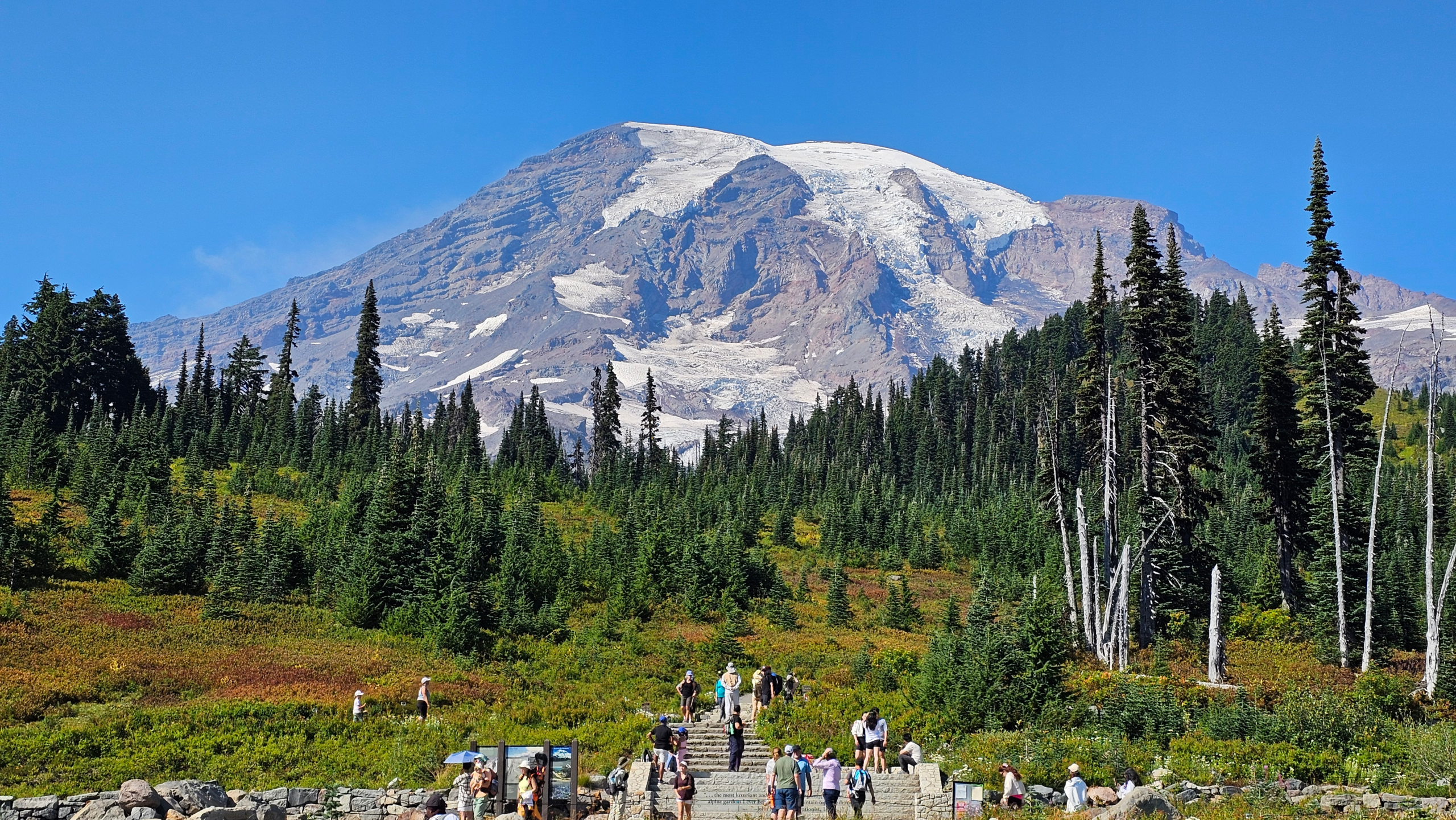 Easy Trails in Mount Rainier National Park (Best Beginner Hikes by Entrance)