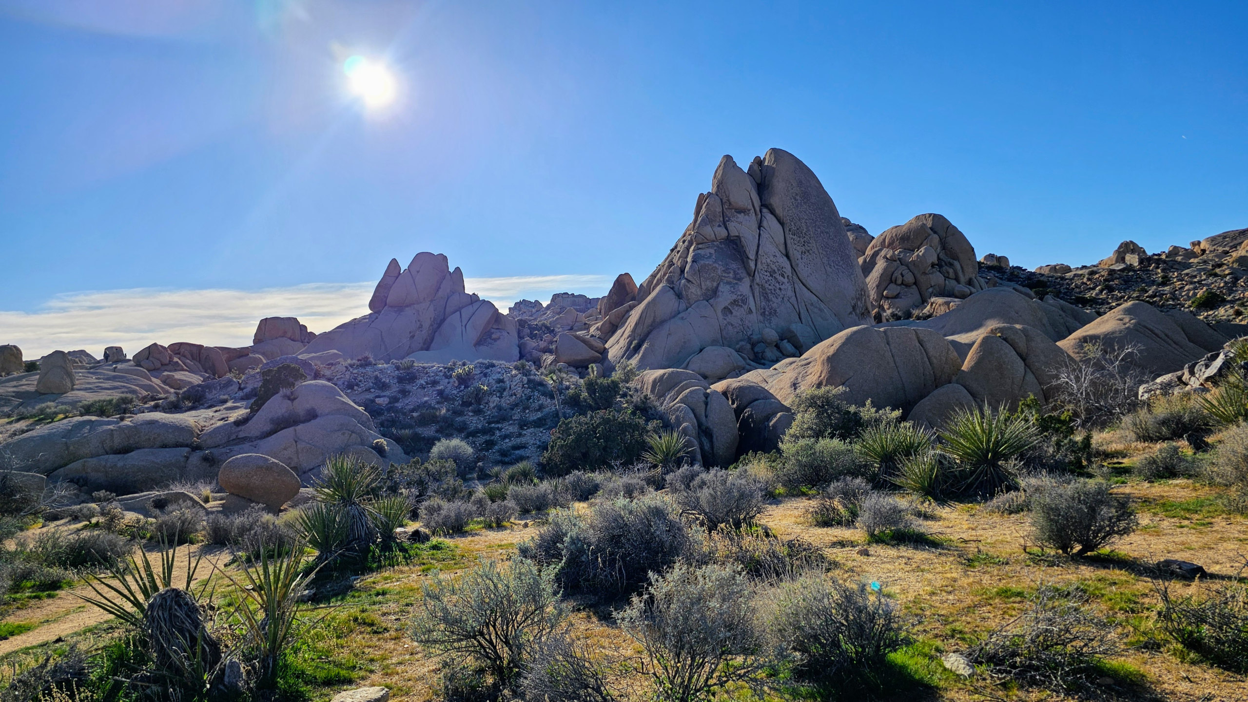 Best Hikes in Joshua Tree National Park for Every Skill Level (Easy to Hard Trails Guide)